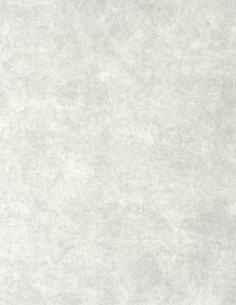 ZOYA 01 knitted fabric 2