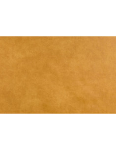 BIZON 2101 upholstery material