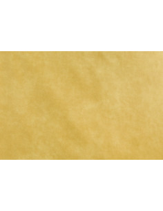 BIZON 2104 upholstery fabric