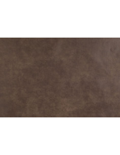 BIZON 2109 upholstery fabric
