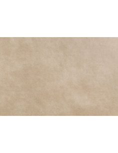 Materiał obiciowy BIZON 2111