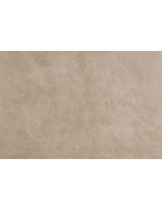 BIZON 2113 upholstery fabric