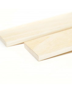 SPRING LEAF 795x53x8 2