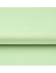 MAGIC VELVET 2237 light pistachio 2