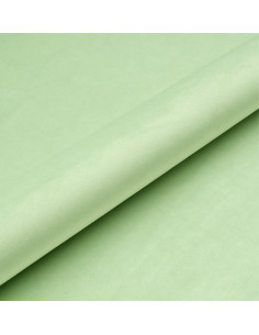 MAGIC VELVET 2237 light pistachio