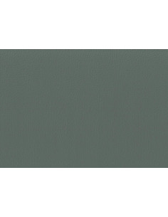 ATOS 131 eco-leather