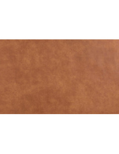 BIZON 2103 upholstery fabric