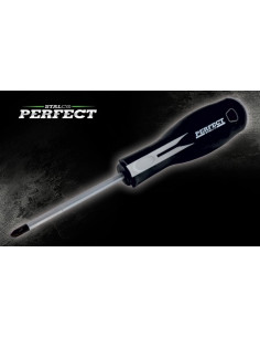 WKRĘTAK PH 1x100 PERFECT S-66011